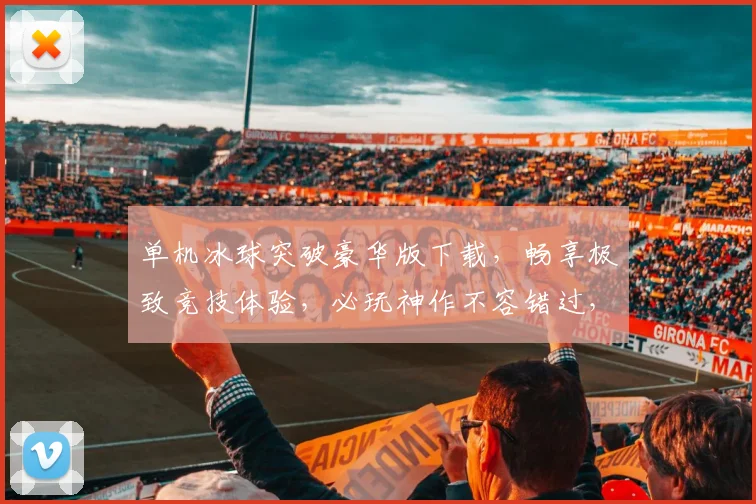 单机冰球突破豪华版下载，畅享极致竞技体验，必玩神作不容错过，下载即享，快来加入