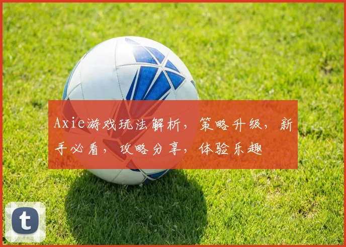 Axie游戏玩法解析，策略升级，新手必看，攻略分享，体验乐趣