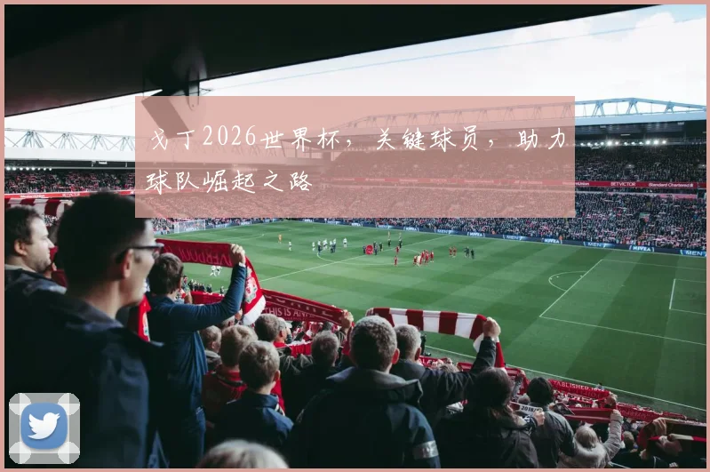 戈丁2026世界杯，关键球员，助力球队崛起之路