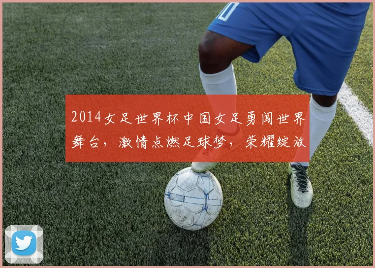 2014女足世界杯中国女足勇闯世界舞台，激情点燃足球梦，荣耀绽放