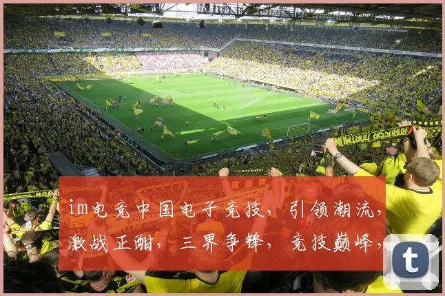 im电竞中国电子竞技，引领潮流，激战正酣，三界争锋，竞技巅峰，不容错过